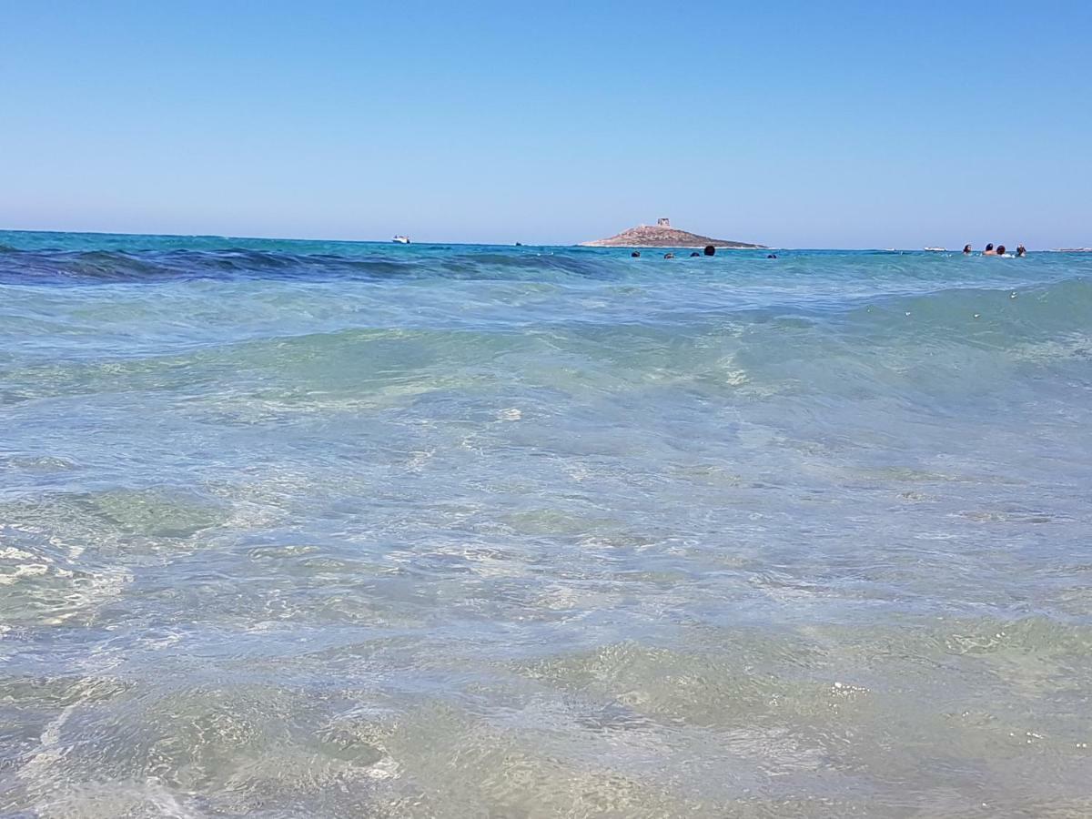 La Rosa Dei Venti Villa Isola delle Femmine Dış mekan fotoğraf